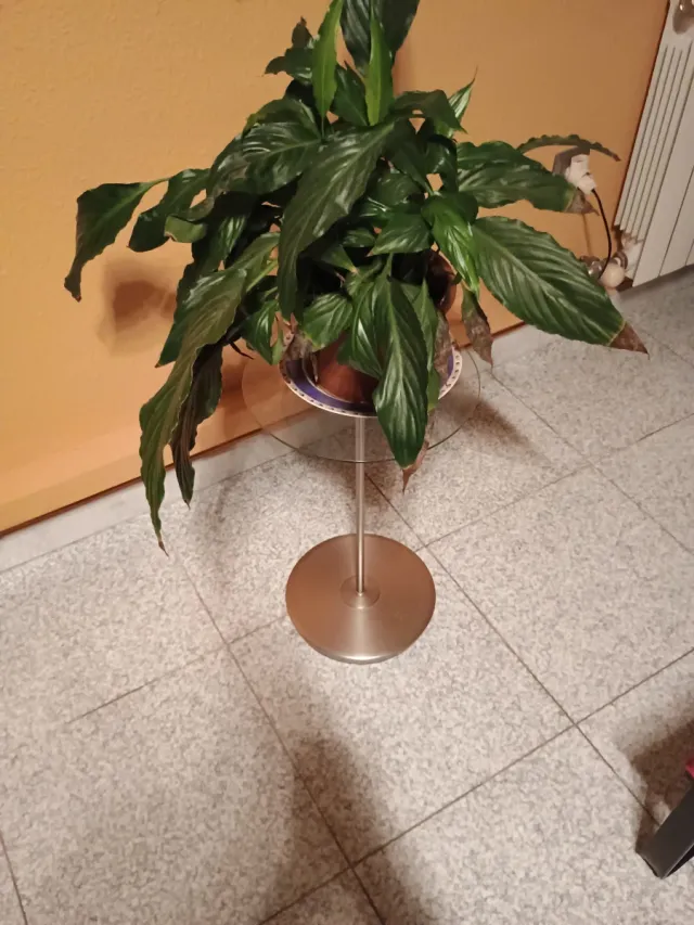 Mesita Auxiliar Umbra Cristal y Aluminio