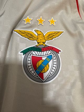 Camisola Benfica Alternativa 25/26 Tamanho L