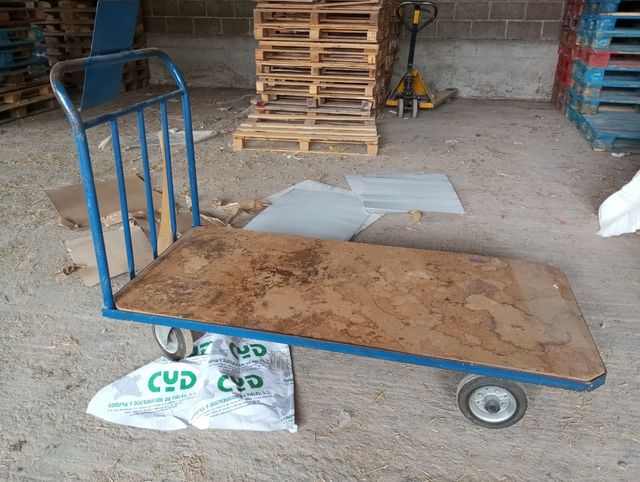 CARRO DE PLATAFORMA AZUL