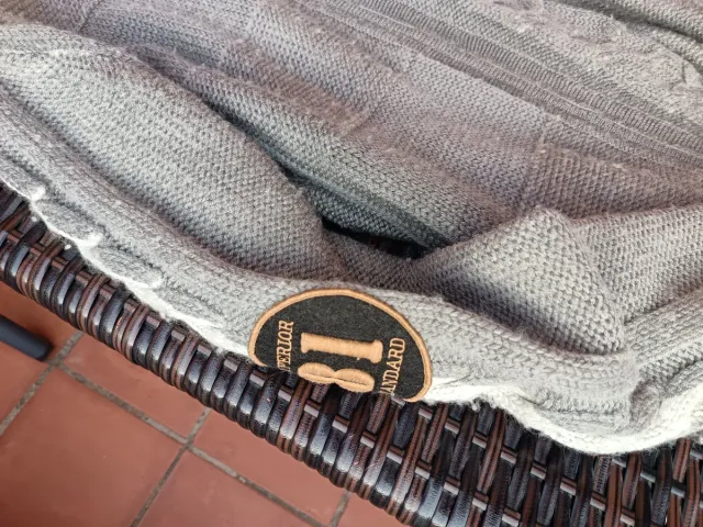 Jersey Replay Vintage Gris