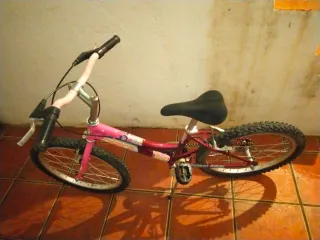 Offerta Bicicletta per bambina rosa e rossa