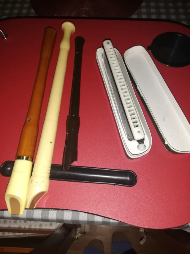 Lote de flautas y armónica