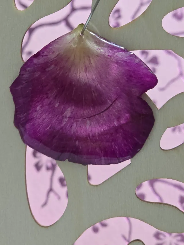 Pendientes pétalos de rosa encapsulados