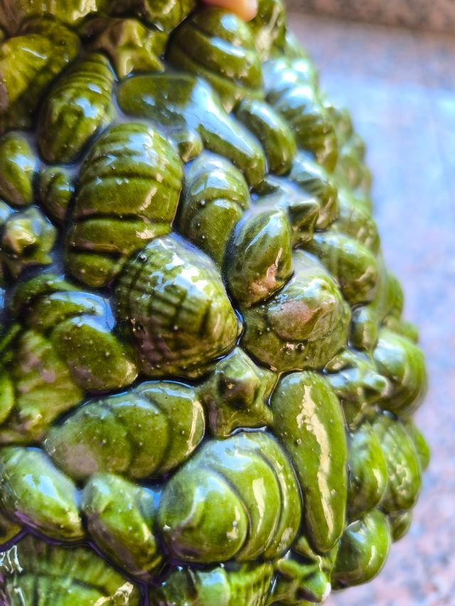 Jarra de loza verde con relieves de conchas.