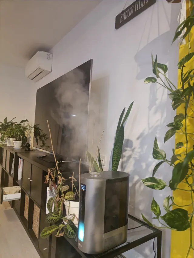 Humidificador DREO Inteligente 6L