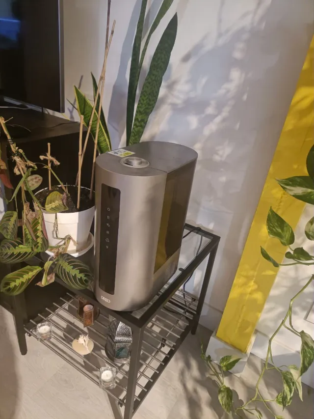 Humidificador DREO Inteligente 6L