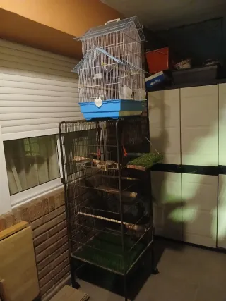 Solo la jaula grande