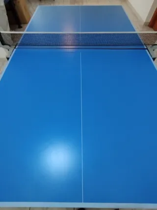 Tavolo Ping Pong Artengo Blu
