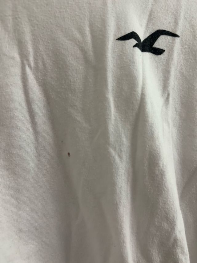 Camiseta Hollister Blanca Manga Larga