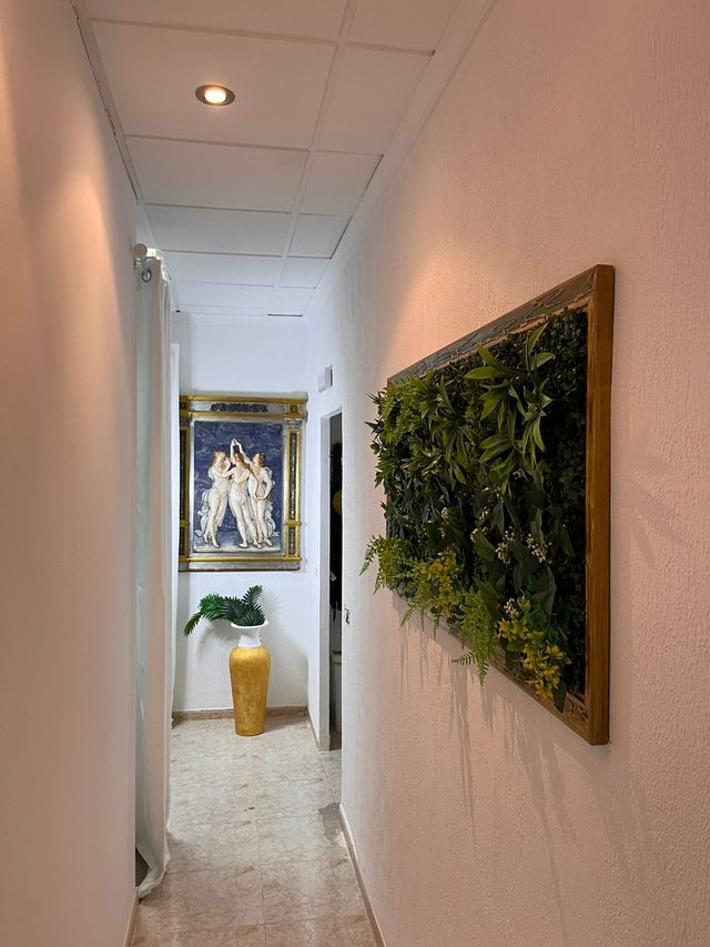 Masajista profesional