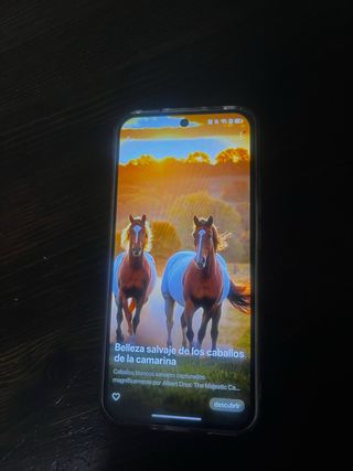 Oppo Reno 14F 5G Multicolor