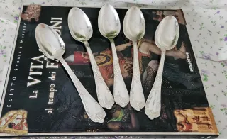 Set 9 Cucchiai Argento 800