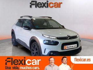 Citroën C4 Cactus BlueHDi 100 S&S Shine