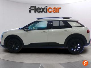 Citroën C4 Cactus BlueHDi 100 S&S Shine