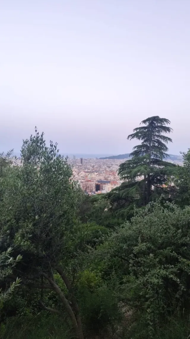 Alquiler de Habitación en Barcelona