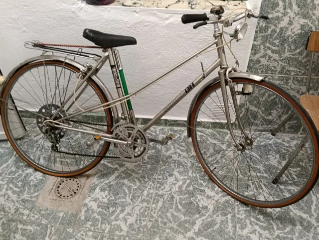 Bicicleta BH Vintage Plata