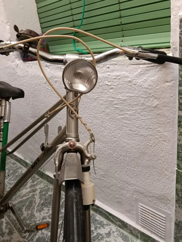 Bicicleta BH Vintage Plata