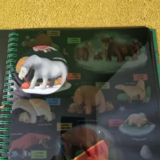 Libro Busca con la Linterna  Animales Prehistórico