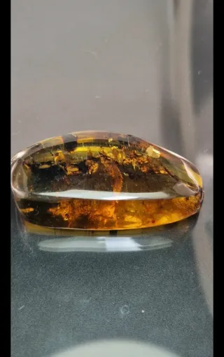 Ambra Baltica con inclusioni