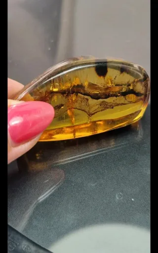 Ambra Baltica con inclusioni