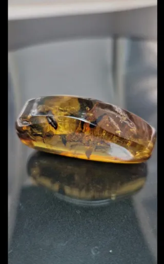 Ambra Baltica con inclusioni