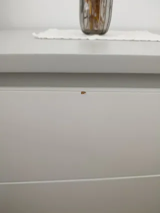 Conjunto Mobília Quarto Casal