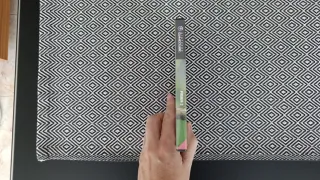 Pikmin 2 Nintendo GameCube