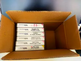 Nintendo DS Lite Negra