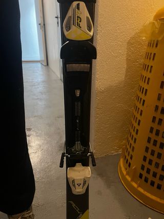 sci discesa con bastoncini leki