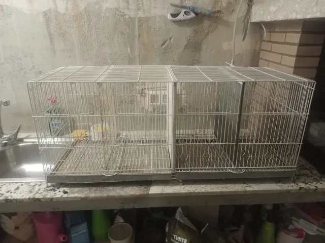 Jaula  Canarios