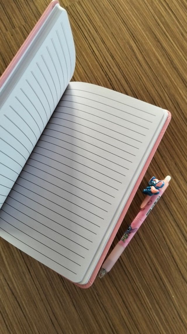 Quaderno e penna Stitch -Nuovi!