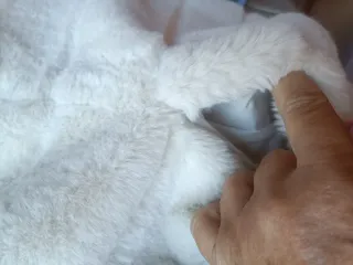 Chaquetón pelo blanco con capucha