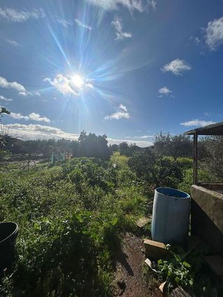 Chalet en venta en Carmona