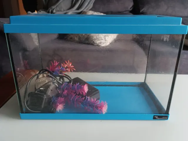 Acuario 35x18cm con filtro