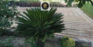 Chalet en venta en Villares (Los)