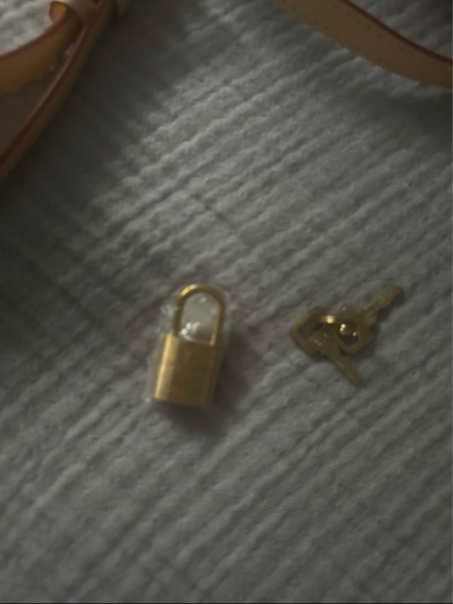 Louis Vuitton Speedy Bandolera Marrón/Beige