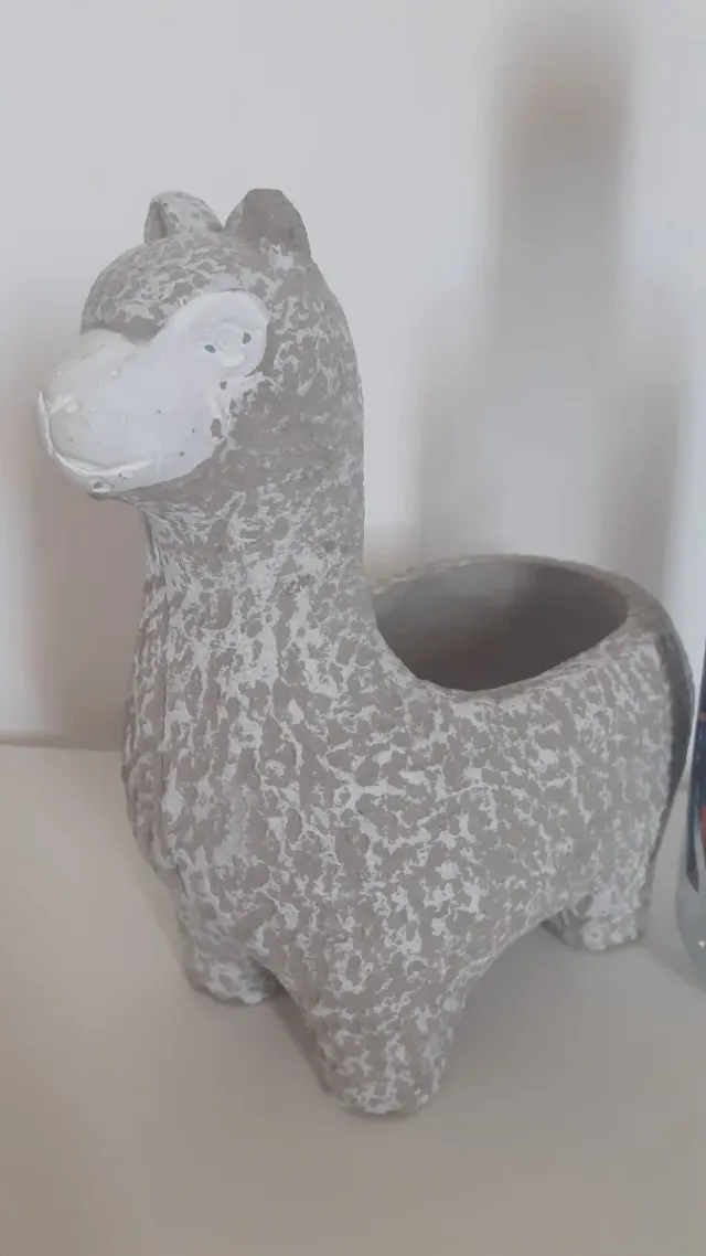 Maceta llama