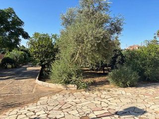 Casa rural en venta en Nueva Alcalá en Alcalá de Guadaira