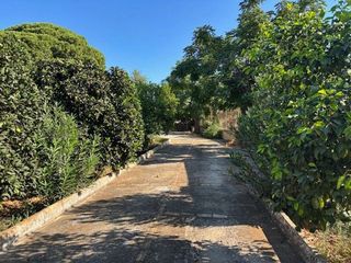 Casa rural en venta en Nueva Alcalá en Alcalá de Guadaira