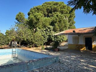 Casa rural en venta en Nueva Alcalá en Alcalá de Guadaira