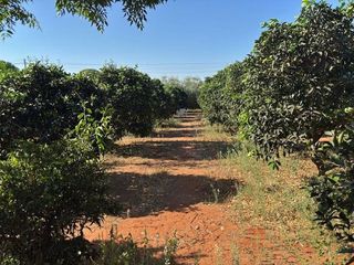 Casa rural en venta en Nueva Alcalá en Alcalá de Guadaira