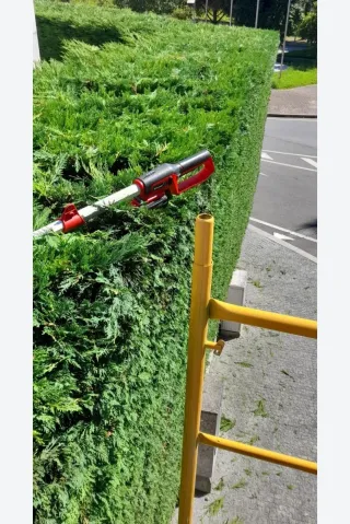 Construção e manutenção de jardins