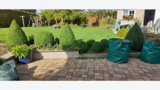 Construção e manutenção de jardins