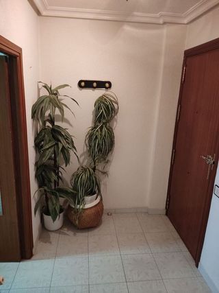 Piso en venta en PAU 2-600 en Puertollano