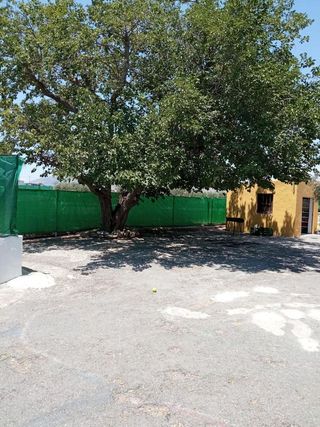 Casa rural en venta en La Algoda - Matola - El Pla en Elche