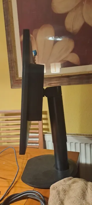 Monitor Philips 18.5 Negro