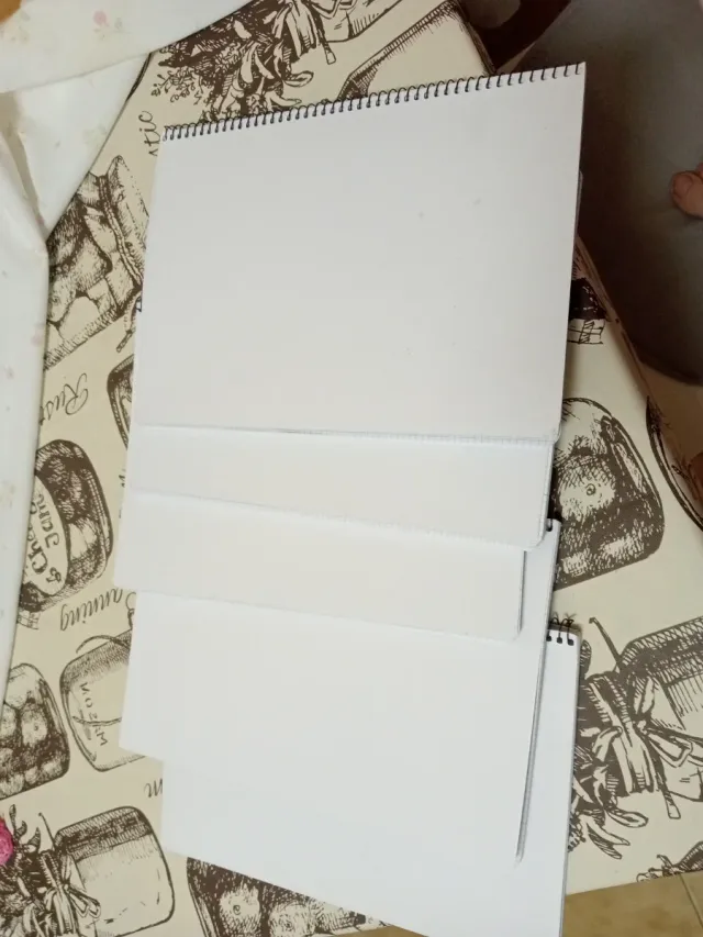 Lote 5 libretas espiral Campus