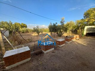 Chalet en venta en Pedro Lamata - San Pedro Mortero en Albacete