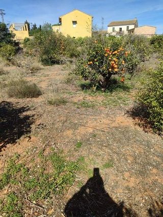 Chalet en venta en Turís