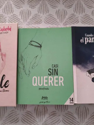 Indomable: Diario de una chica en llamas